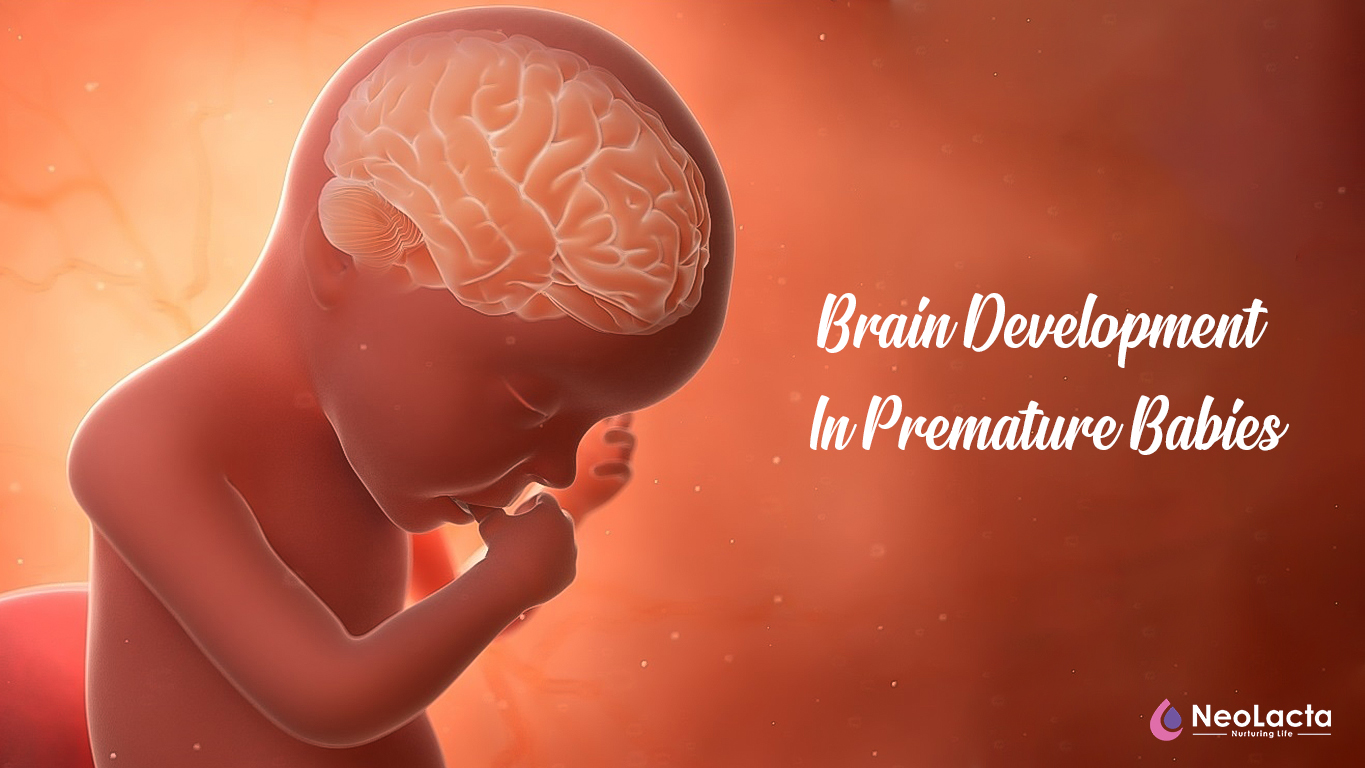 Postnatal Nutrition To Improve Brain Development In Premature Babies