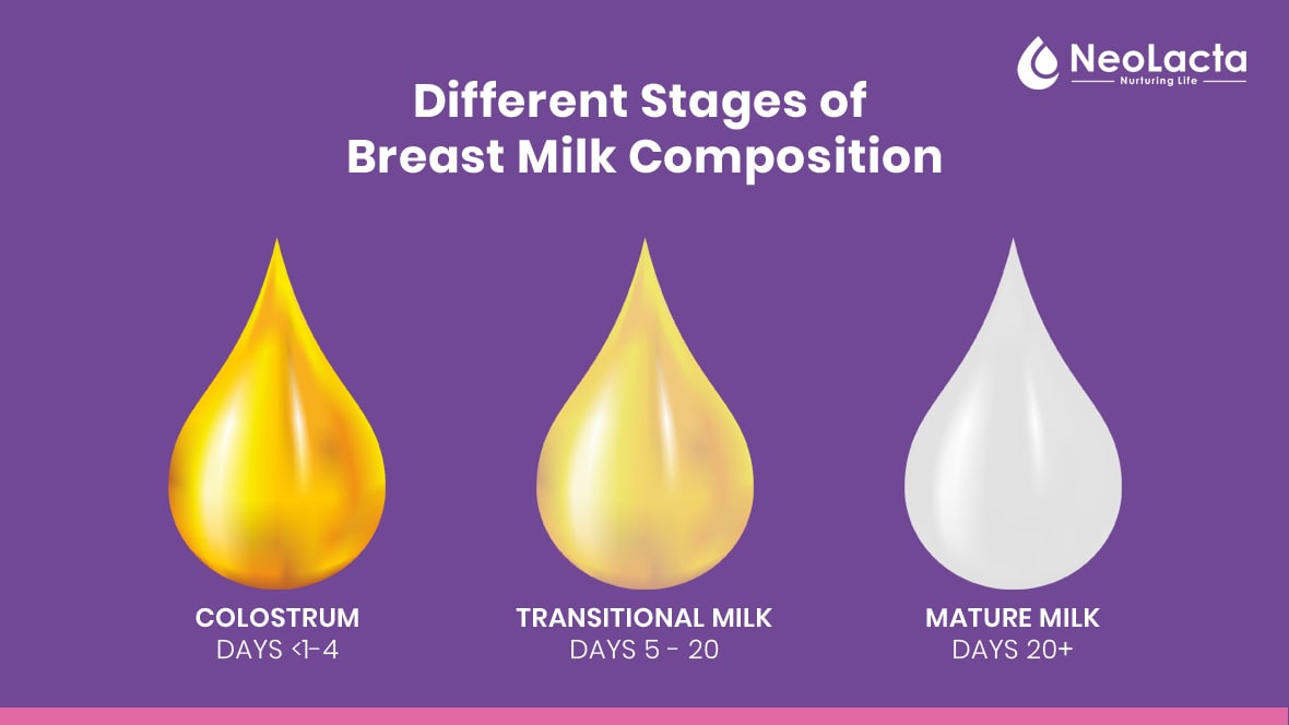Different stages of Breastmilk composition