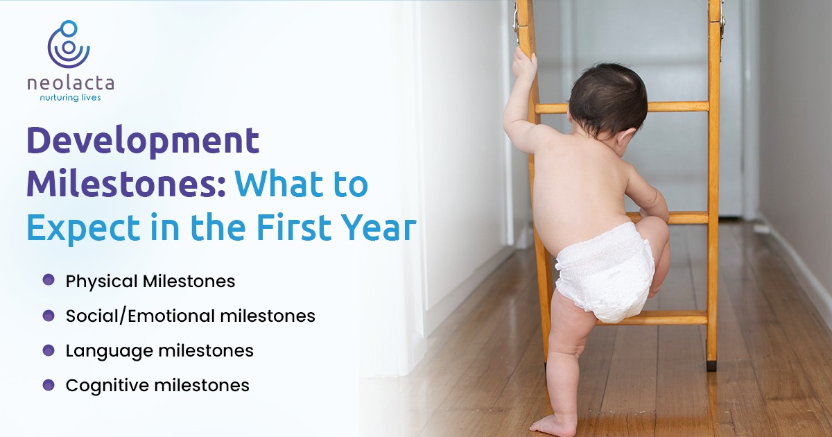 Development Milestones: What to Expect in the First Year